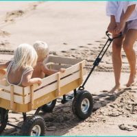 What are the Benefits and Drawbacks of Wagon?