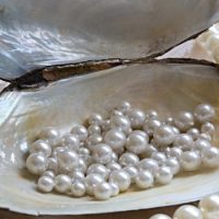 Things You Need To Know About Pearls