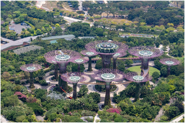 7 Most Famous Flower In Singapore, Which One Is Your Favorite?